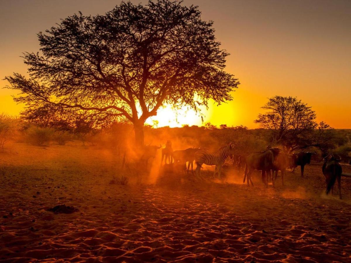 Bagatelle Kalahari Boutique Farmhouse Lodge Маріенталь Екстер'єр фото